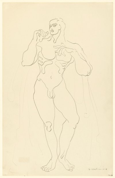 Männlicher Akt Nr. 12 von Gaston Lachaise