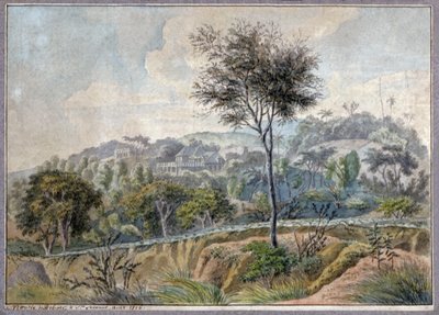 Landschaft in La Reunion von Genevieve Sophie Marie Adele Patu de Rosemont