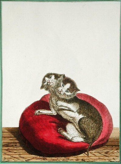 Zweiköpfige Katze von Genevieve Regnault de Nangis