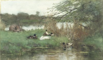 Enten am Wasser von Geo Poggenbeek