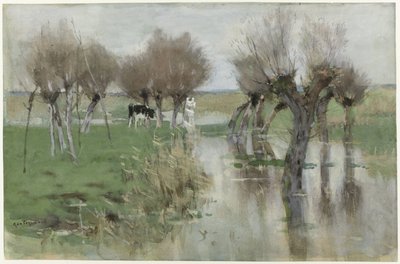 Hochwasser auf der Weide von Geo Poggenbeek