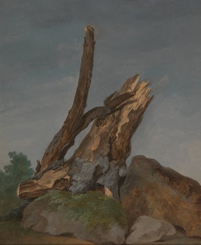 Studie von Felsen und Ästen von George Augustus Wallis