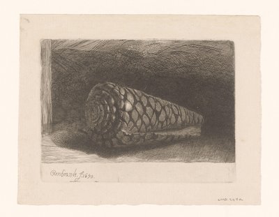 Die Muschel von George Bickham (II)