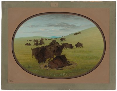 Ein Büffelwallow von George Catlin