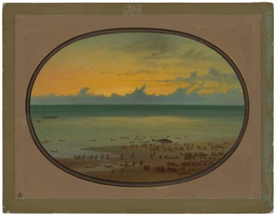 Ein Wal an Land - Klahoquat von George Catlin