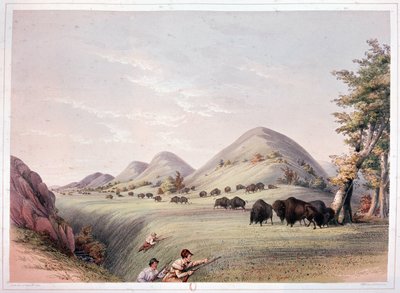 Bisonjagd von George Catlin