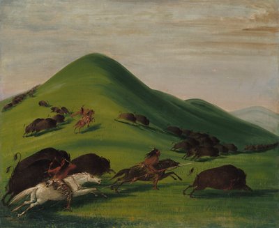 Büffeljagd über Prärieklippen, 1832-1833 von George Catlin