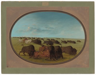 Büffeljagd mit Unfällen von George Catlin