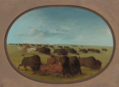 Büffeljagd mit Unfällen, 1861-1869 von George Catlin