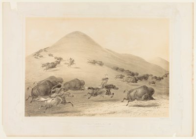 Büffeljagd, Verfolgung--Nr. 6 von George Catlin