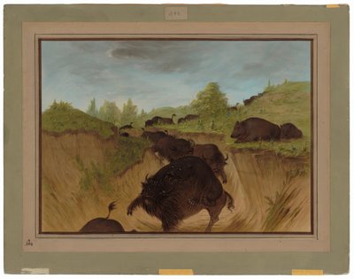 Grizzlybären greifen Büffel an von George Catlin