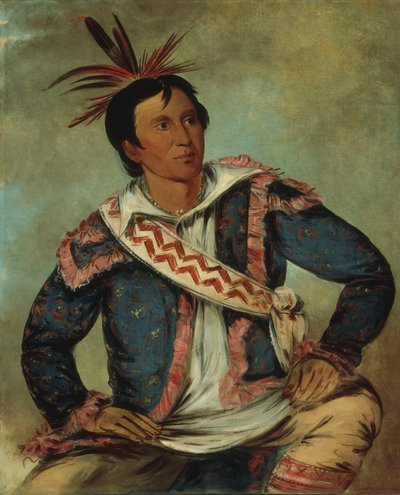 Há-tchoo-túc-knee, Schnappschildkröte, ein Halbblut von George Catlin