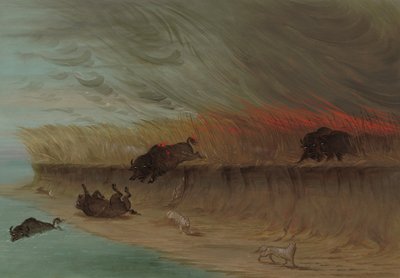 Brennende Präriewiesen, 1861-1869 von George Catlin