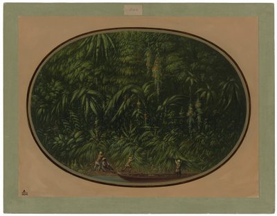 Ufer des Trombetas von George Catlin