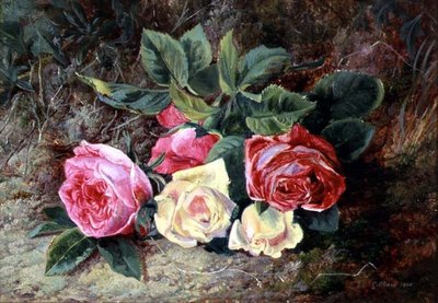 Rosen, 1865 von George Clare