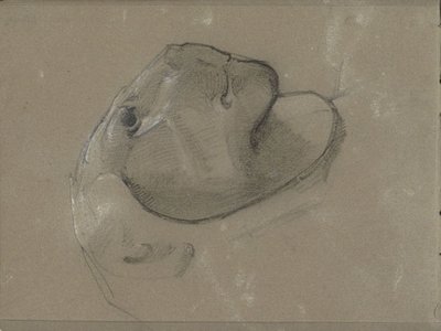 Löwenkopf, vermutlich nach einer Skulptur von George Clausen
