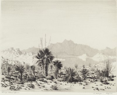 Eine Fata Morgana, Arizona von George Elbert Burr