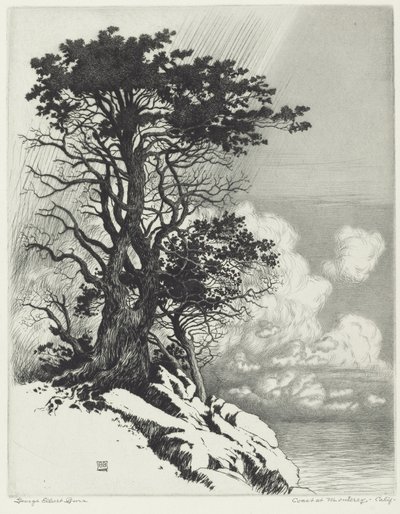 Küste bei Monterey, Kalifornien von George Elbert Burr