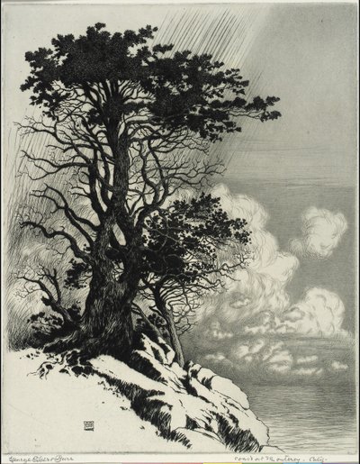 Küste bei Monterey, Kalifornien von George Elbert Burr