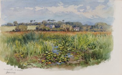 Criccieth, Nordwales von George Elbert Burr
