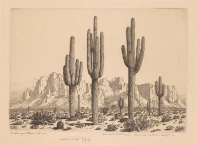 Wüstensentinellen, Apache Trail, Arizona von George Elbert Burr