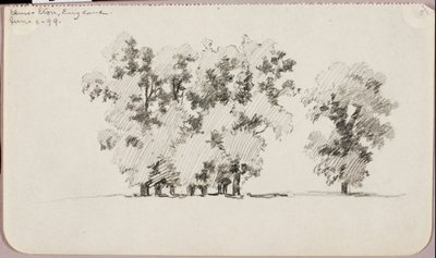 Ulmen - Eton, England von George Elbert Burr
