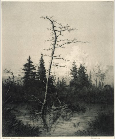 Abend von George Elbert Burr