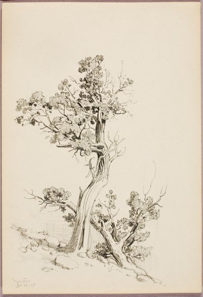 Manitou von George Elbert Burr