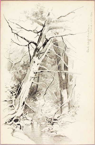 Oak Cliff, Dallas von George Elbert Burr
