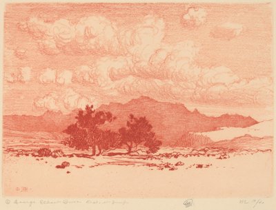 Palo Verde Bäume von George Elbert Burr