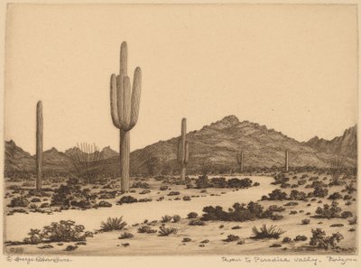 Straße zum Paradies-Tal, Arizona von George Elbert Burr