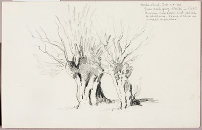Roche Vaud von George Elbert Burr
