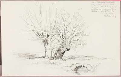 Roche Vaud von George Elbert Burr