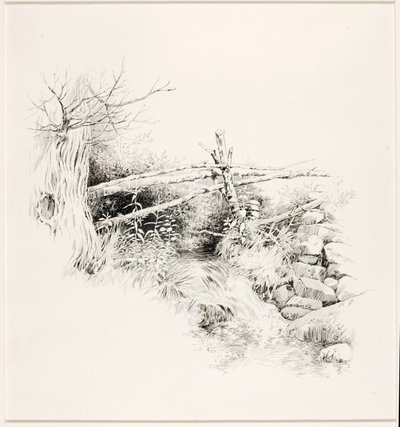 Ohne Titel (Waldstrom) von George Elbert Burr
