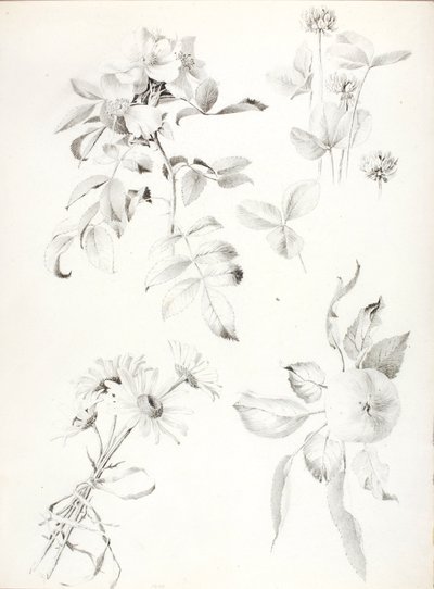 Ohne Titel von George Elbert Burr