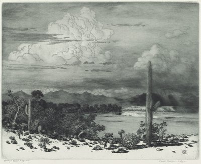 Verde River, Arizona von George Elbert Burr