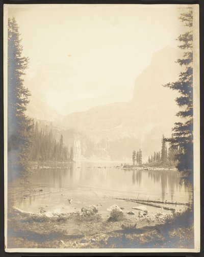 See in Yosemite von George Fiske