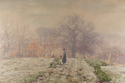 Wintermorgen von George Houston