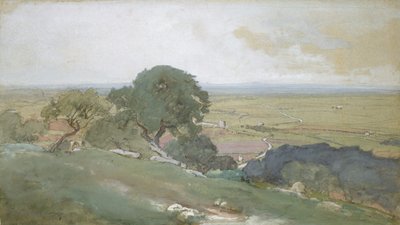 Olivenbäume in Tivoli, 1873 von George Inness
