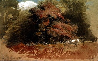 Knole Park von George Richmond