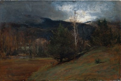 November in den Adirondacks, ca. 1885 von George Snr. Inness