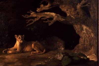 Ein Löwe und eine Löwin von George Stubbs