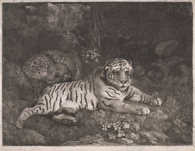 Ein Tiger und ein schlafender Leopard von George Stubbs