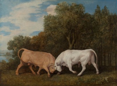 Kämpfende Stiere von George Stubbs