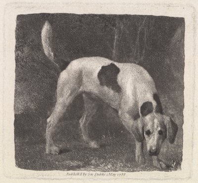 Hund [Ein Foxhound auf der Spur] von George Stubbs