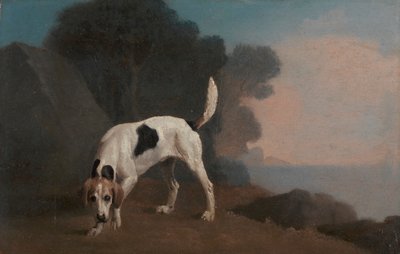 Fuchshund von George Stubbs