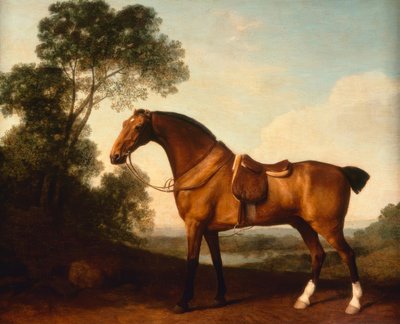 Ein gesattelter Bay Hunter von George Stubbs