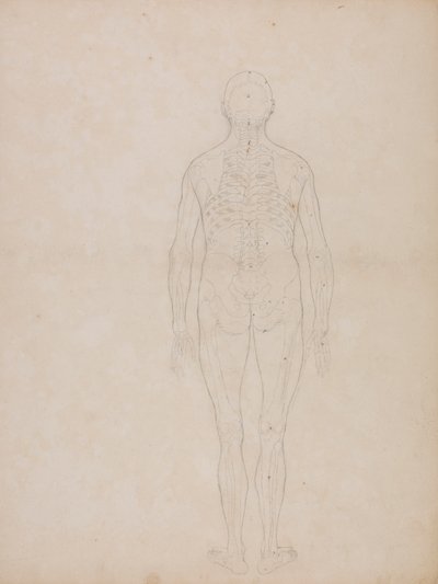 Menschliche Figur, Rückansicht von George Stubbs