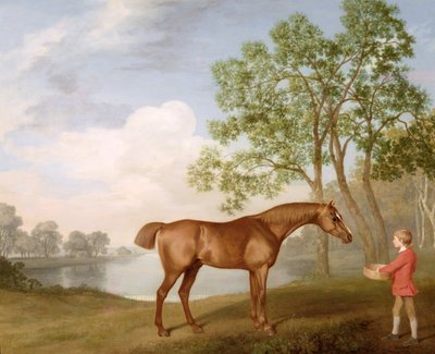 Kürbis mit einem Stallburschen von George Stubbs