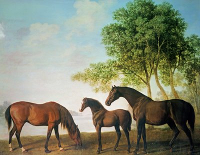 Shafto-Stuten und ein Fohlen von George Stubbs